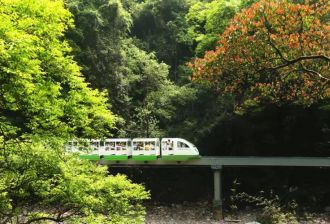 一花一木皆美景｜一言一行显文明