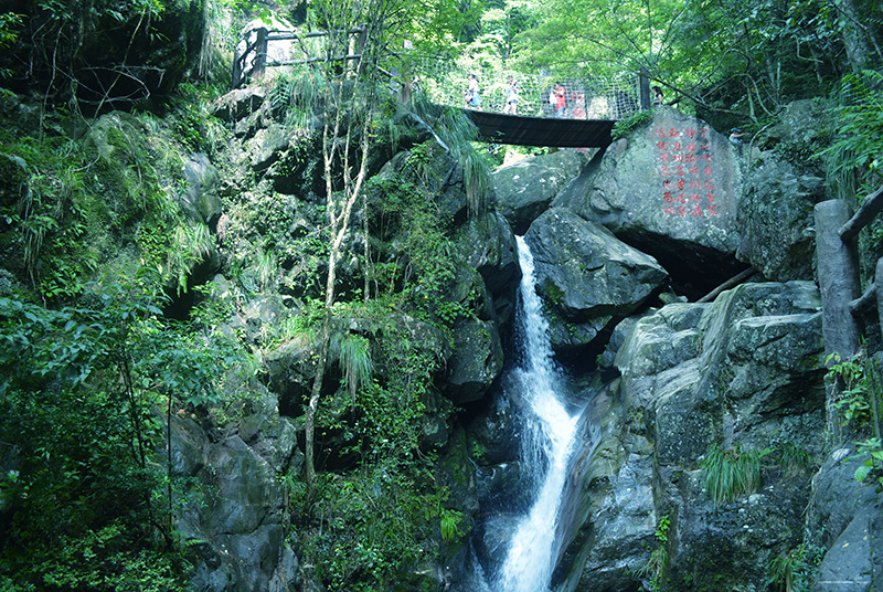 观音岩森林康养-吊桥