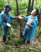 三爪仑风景区百余种古树名木和观赏植物挂牌&ldquo;上岗&rdquo;扫码便知植物科普知识